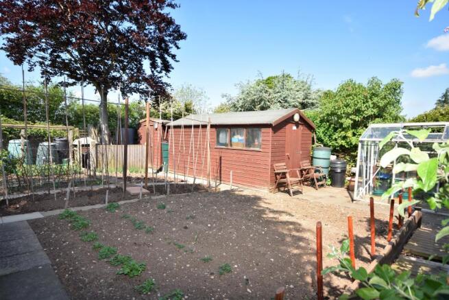 Rear Garden 4