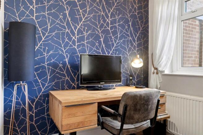 Study Area