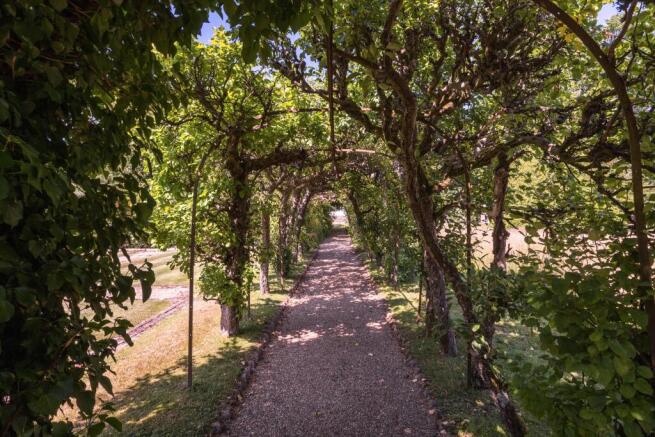 Photo 31