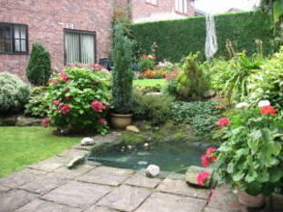 Photo 6