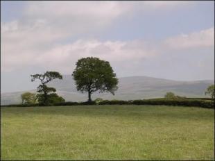 View to Ingleborough