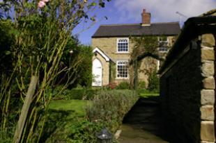 House and garden