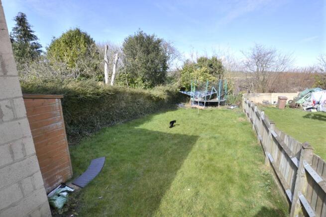 back garden