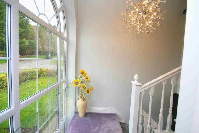 Feature Window.