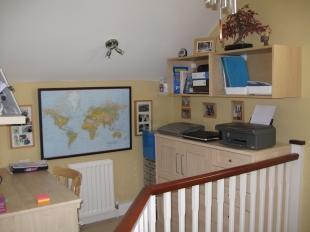 Study Area