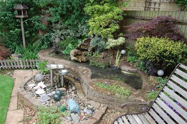 Water Feature