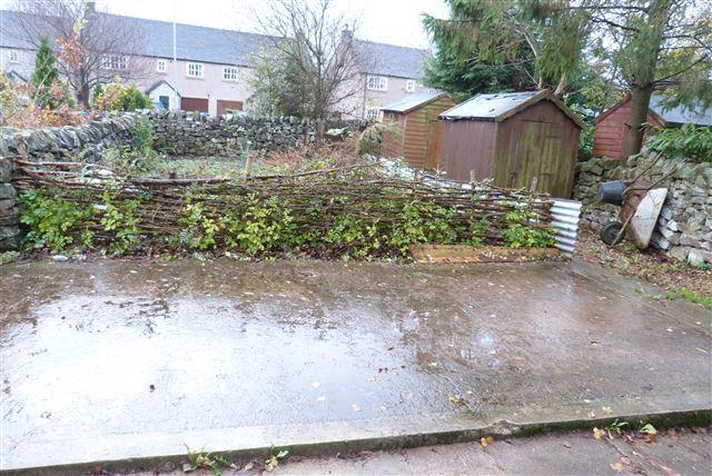 garden.