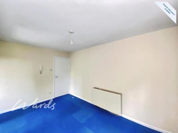 Living/Bedroom Area