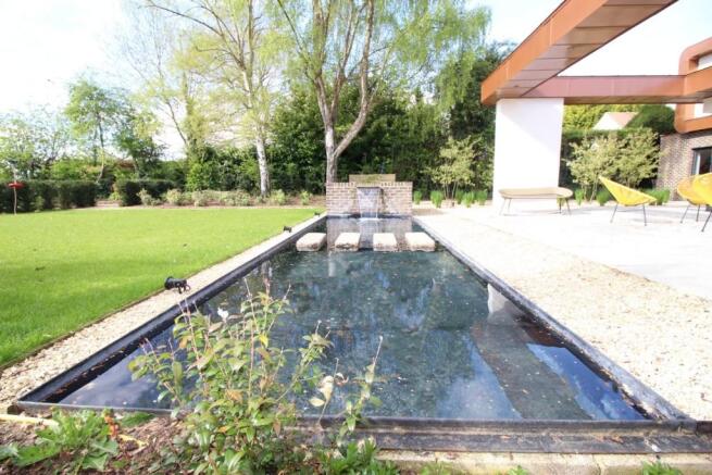 Water Feature