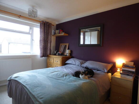 Photo 8