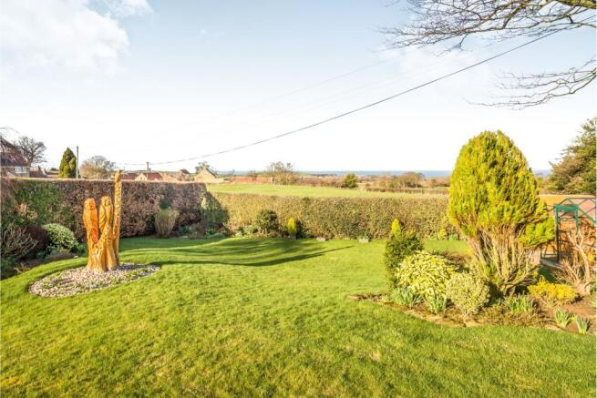 Rear Views/garden
