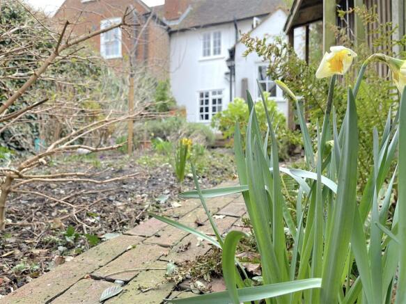 Garden (6).jpeg
