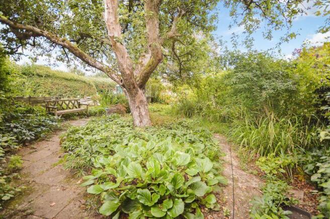 mid garden