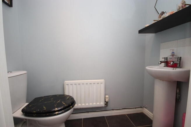 IMG_5719