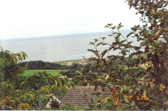 Picture No.14