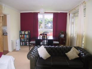 Lounge / Dining Room