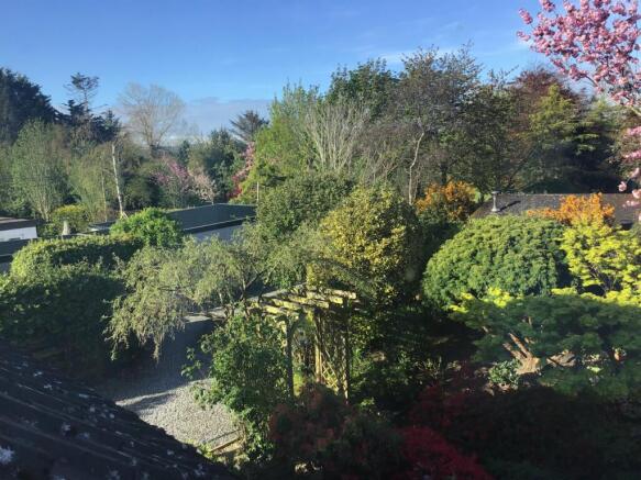 Photo 35