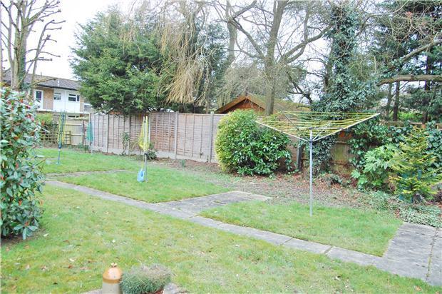 Communal Garden