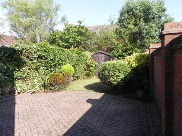 Photo 11