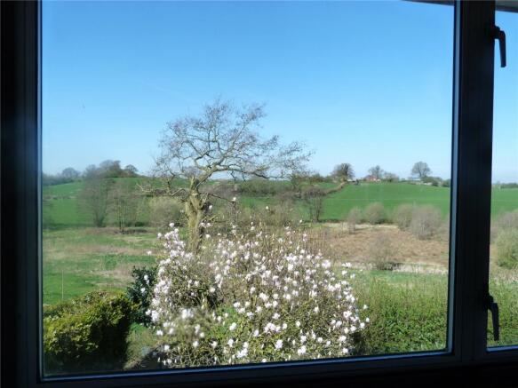 View From Bed 1
