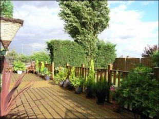 Deck Area