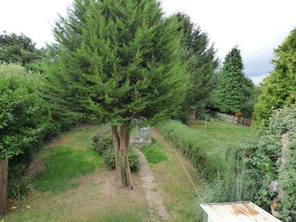 Attractive Garden