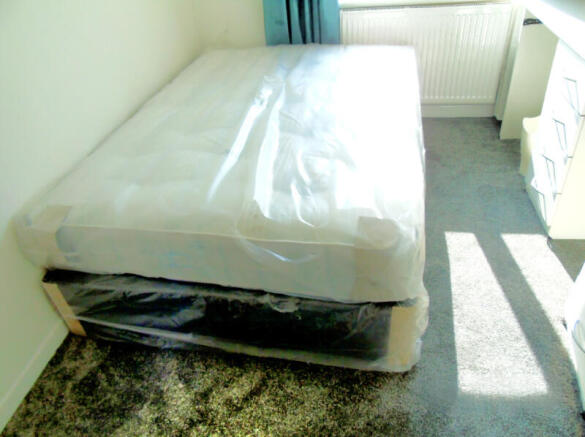 209_11.jpg