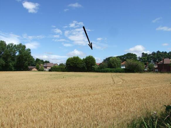 Field View