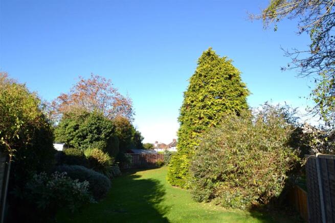 Garden 2.JPG
