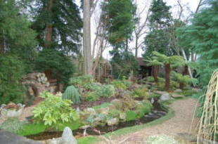 Photo 7
