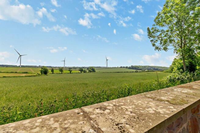 5 tr field view.jpg