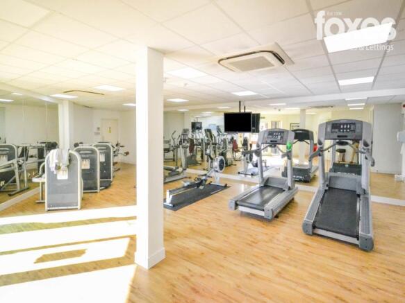 Gymnasium