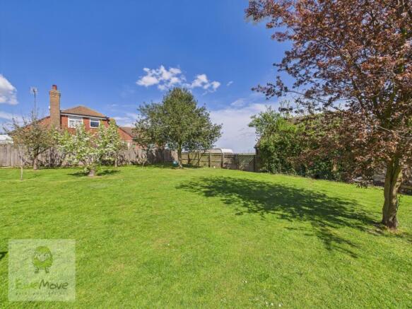 Back Garden