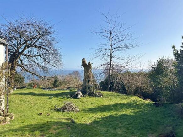 View from the garden