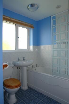 Picture 8