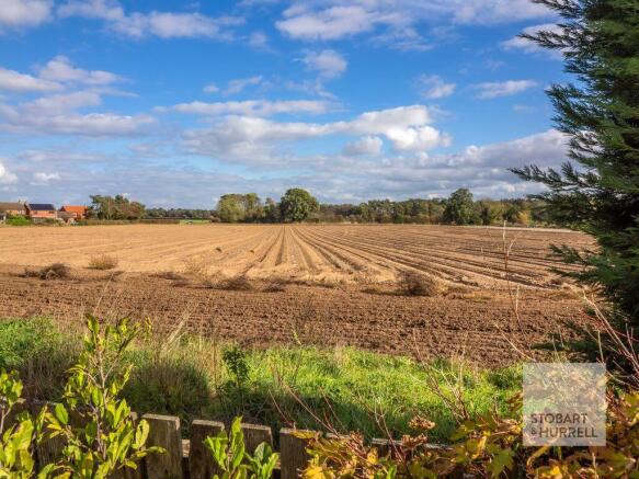Field Views