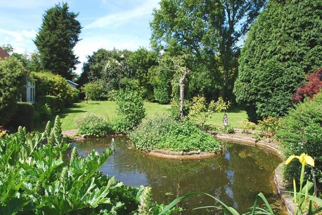 Pond