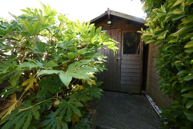 Shed