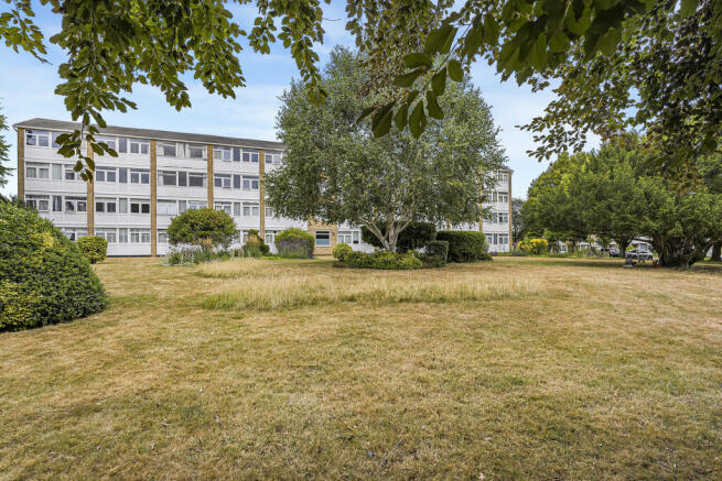 Communal Garden