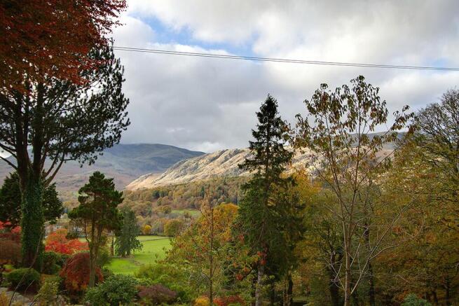 Driveway view