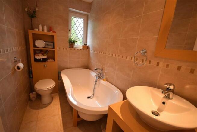 Photo 11