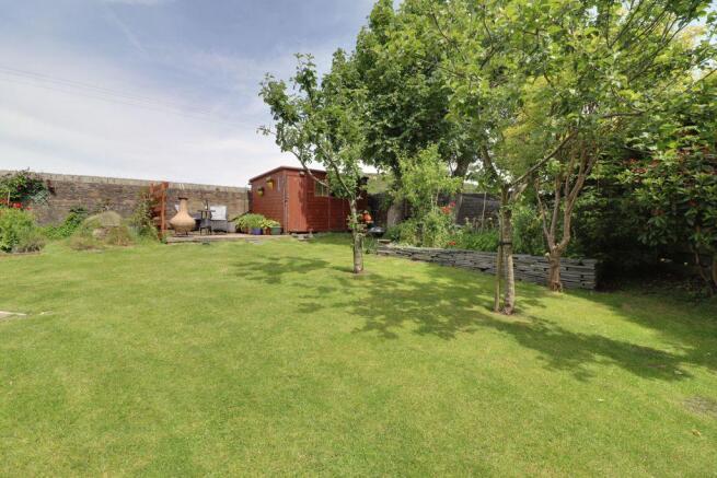 Garden at Back
