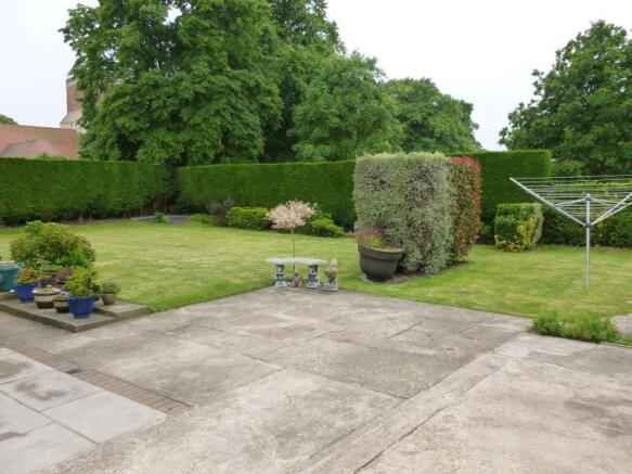 Patio Area