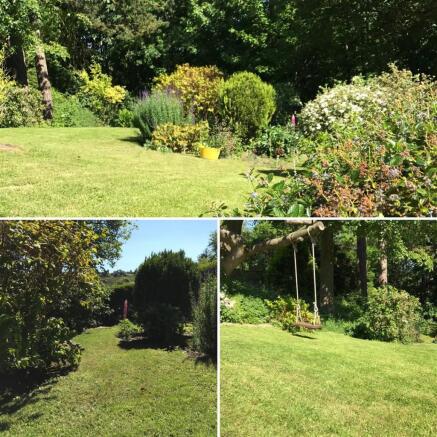 Garden pics.jpg