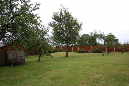 Former orchard