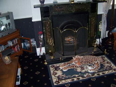 Photo 5