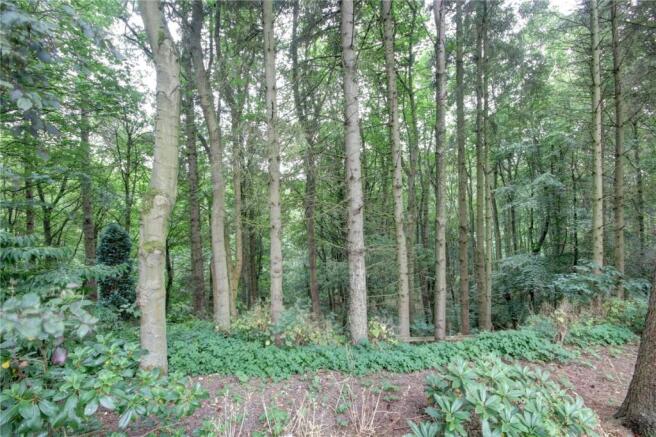 Copse