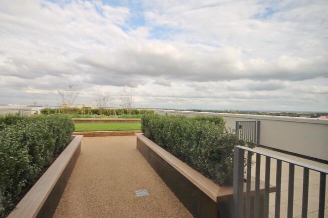 Roof Terrace