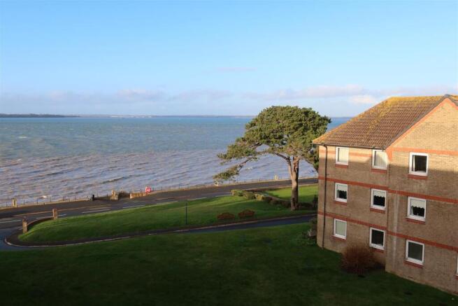 IMG_9838 (1) New View.JPG