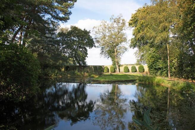 WhatsApp Image 2026-02-17 at 16.48.40.jpeg